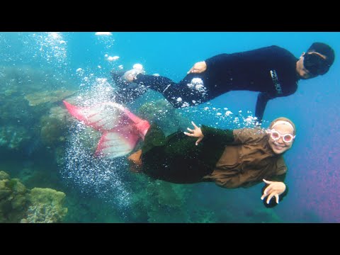 Apakah Sang Mermaid Bertemu Jodohnya? hmm