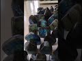 Polished labradorite