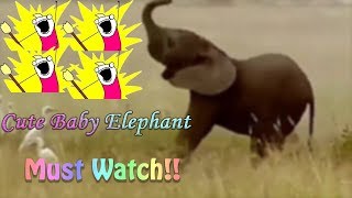 MUST WATCH!!! Funny and Cute Baby Elephant Videos