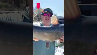 Love it when this happens! #3riversfishingadventures #fishon