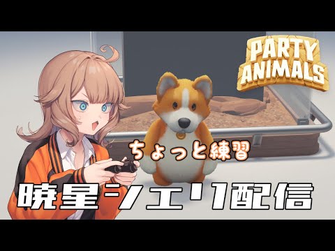 【Party Animals】明日のために練習しときたい犬派【VTuber】