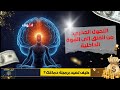 خوفك ليس عدوا كيف تعيد برمجة اللوزة الدماغية والعصب الحائر لتحقيق السلام الدائم