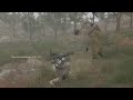 Middle of video