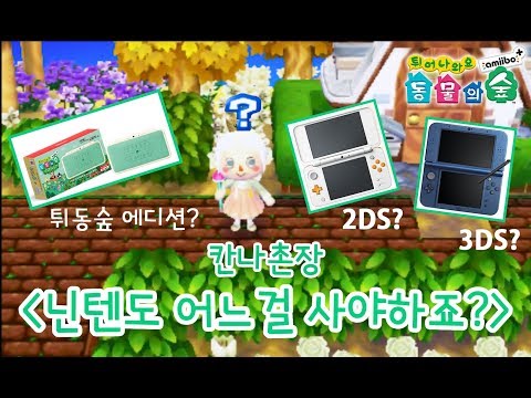 [칸나촌장] 튀동숲 하고싶은데 어떤 닌텐도를 사는게 좋을까요? (2DS,3DS비교)