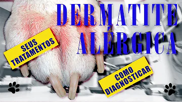 O que fazer quando o cachorro está com alergia na pele?