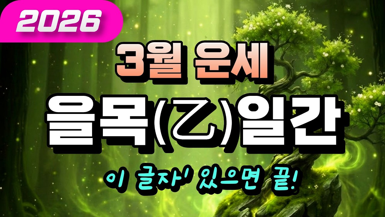 26년 3월 을목일간 운세  위기를 대박 기회로 바꾸는 법! (지지별 완벽분석)