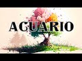 ACUARIO - EL CIELO PONE UN 🎁EN TUS MANOS‼️TU MAESTRO SUPERIOR TE ENVÍA SEÑALES🔮CAMINO DE LUZ Y…😱