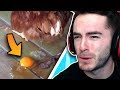 Chicken Poops Egg With No Shell (Never Tell Me The Odds #10)