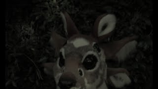 Triplicate Deer