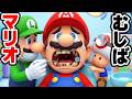虫歯になったマリオを治療するルイージとキノピオとキノピコ（アナケナファミリーのゲームでごっこ遊び）