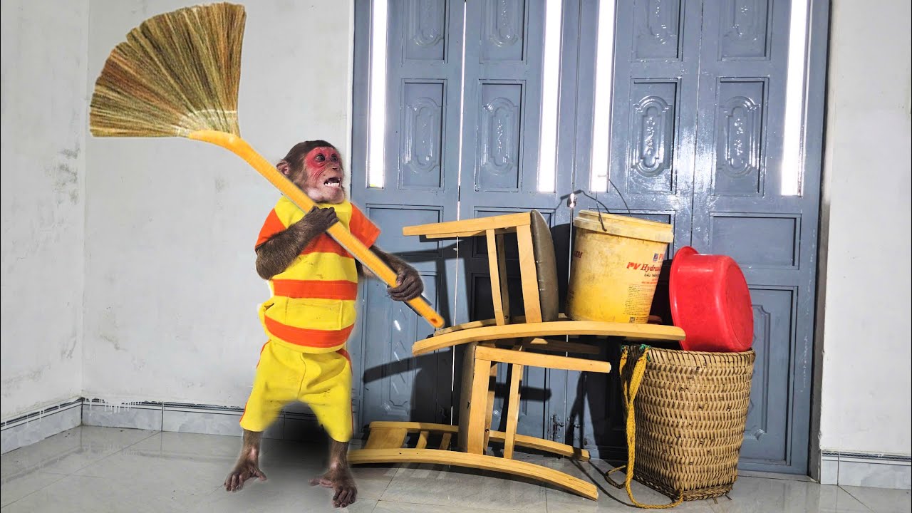 SU reacts extremely intelligently to protect his house