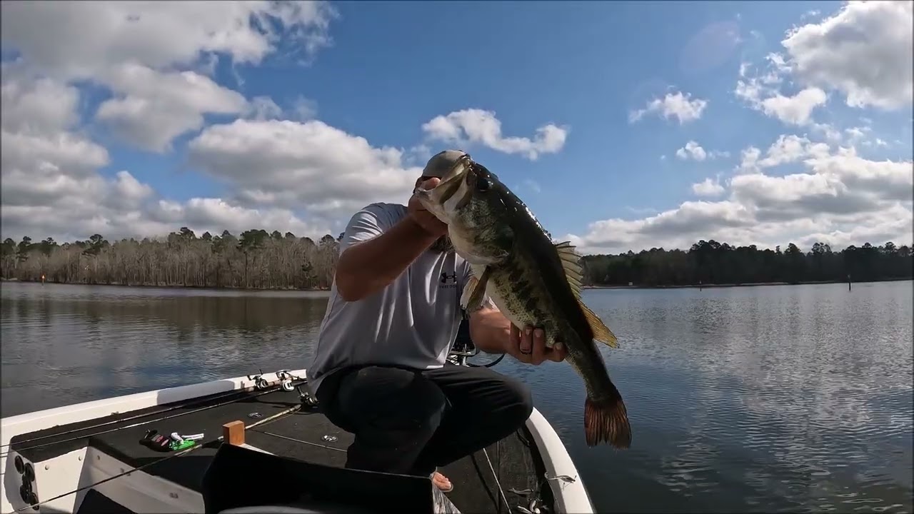 Big Bass with an A-Rig on Lake Ivan