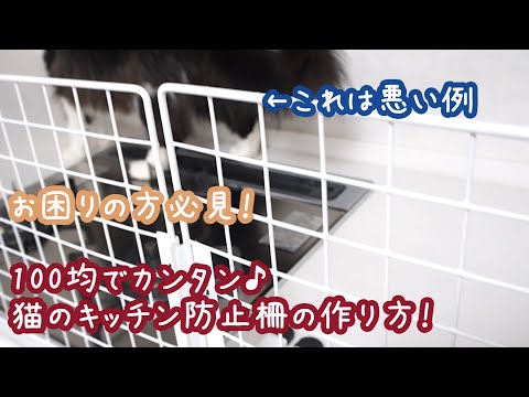 猫が台の上に跳び上がるのを防ぐ5つの実践的コツ
