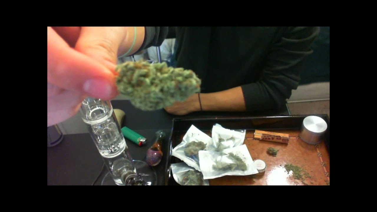 Chocolope, Blue Cheese, and more buds 8 arm perc bong