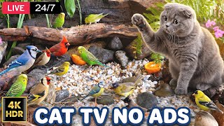 🐱 Cat TV Paradise 24/7 LIVE 4K HDR — American Goldfinch & Chickadee Garden Party