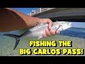 Fishing the CLEAR WATERS of the BIG CARLOS PASS! (Lots of NEW SPECIES) (2019 Fort Myers Trip -- 1/3)