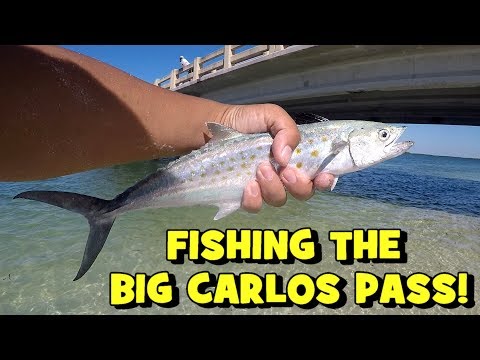 Big Carlos Pass Tide Chart