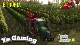 🔴 LIVE [FS 25] FERMA Terra Nostra * ETRURIA* Ep 05 !!! LA MERE !! BUN VENIT