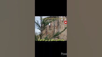 سورة النصر بصوت القارئ مصطفى الفرجاني