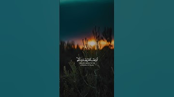 تلاوة هادئة للشيخ محمد أيوب رحمه الله #محمد_أيوب #تلاوة_خاشعة #قرآن