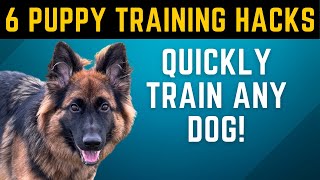 How To Train Your Puppy FASTER & MORE EFFECTIVELY! by Training Positive 7,325 views 2 years ago 5 minutes, 31 seconds