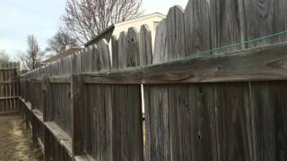 Super Expedient Stealth 160 Meter Antenna by HamPrepper 17,626 views 8 years ago 2 minutes, 36 seconds
