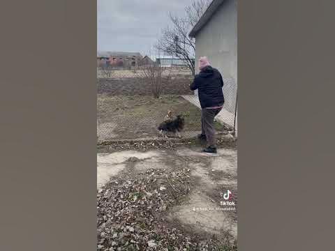 Допомога безпритульним. - YouTube
