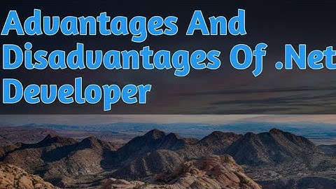 Advantages And Disadvantages Of .Net Developer