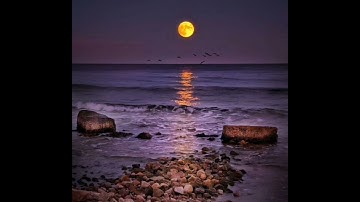 القرآن الكريم سورة النور صفحة 352