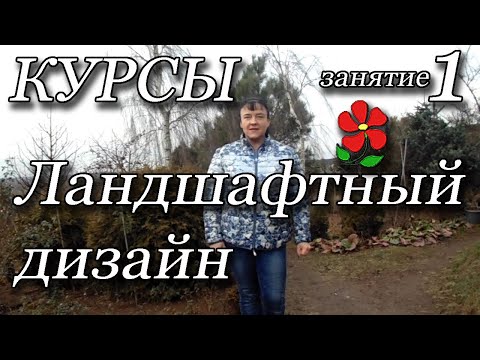 Video: Ландшафт дизайнындагы тал (36 сүрөт): ыйлаган декоративдүү талдын сорттору, кооз Вавилон талынын 