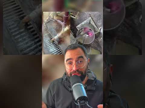 ☣️ O QUE REALMENTE ACONTECEU NA FÁBRICA DA YPÊ?