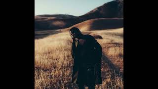 Travis Scott - Wasted Feat. Yung Lean All Travis Verses, No Juicy J