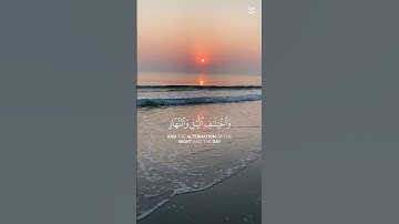 قران كريم #راحة_نفسية #الرحمن
