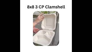 Pure, natural, and timeless 🌿Clam shells – nature’s own masterpiece 🐚”#staysafe #