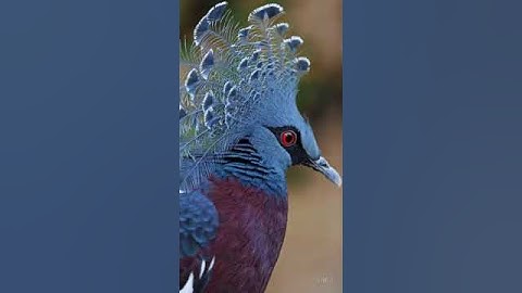 AI Generated videos using the ORIGINAL Prompts (With multiple variations each).