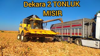 MISIR 🌽 HASADINDA 2 TONLUK REKOR VERİMİ Alabildikmi şartlar zor