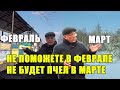 Аномальные зимы вносят коррективы в зимовку пчел Меняем подход к зимовке пчел