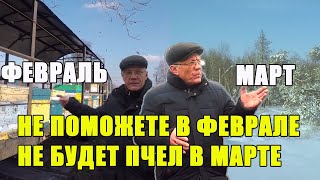 Аномальные зимы вносят коррективы в зимовку пчел Меняем подход к зимовке пчел