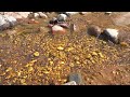 That's how much gold was found! UFO - NOT FOUND?