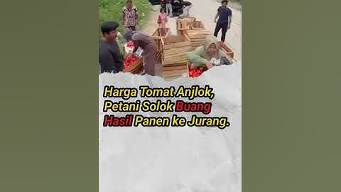 Harga Tomat Anjlok, Petani Solok Buang Hasil Panen ke Jurang. #beritaterkini #radarbanyumas