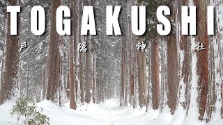 TOGAKUSHI SHRINE in Winter - Exploring Ancient Japanese Legends