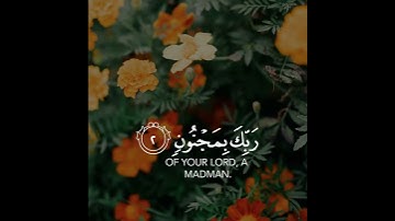 ن والقلم وما يسطرون | سالم الرويلي تلاوة هادئة فوق الخيال | حالات واتساب دينية