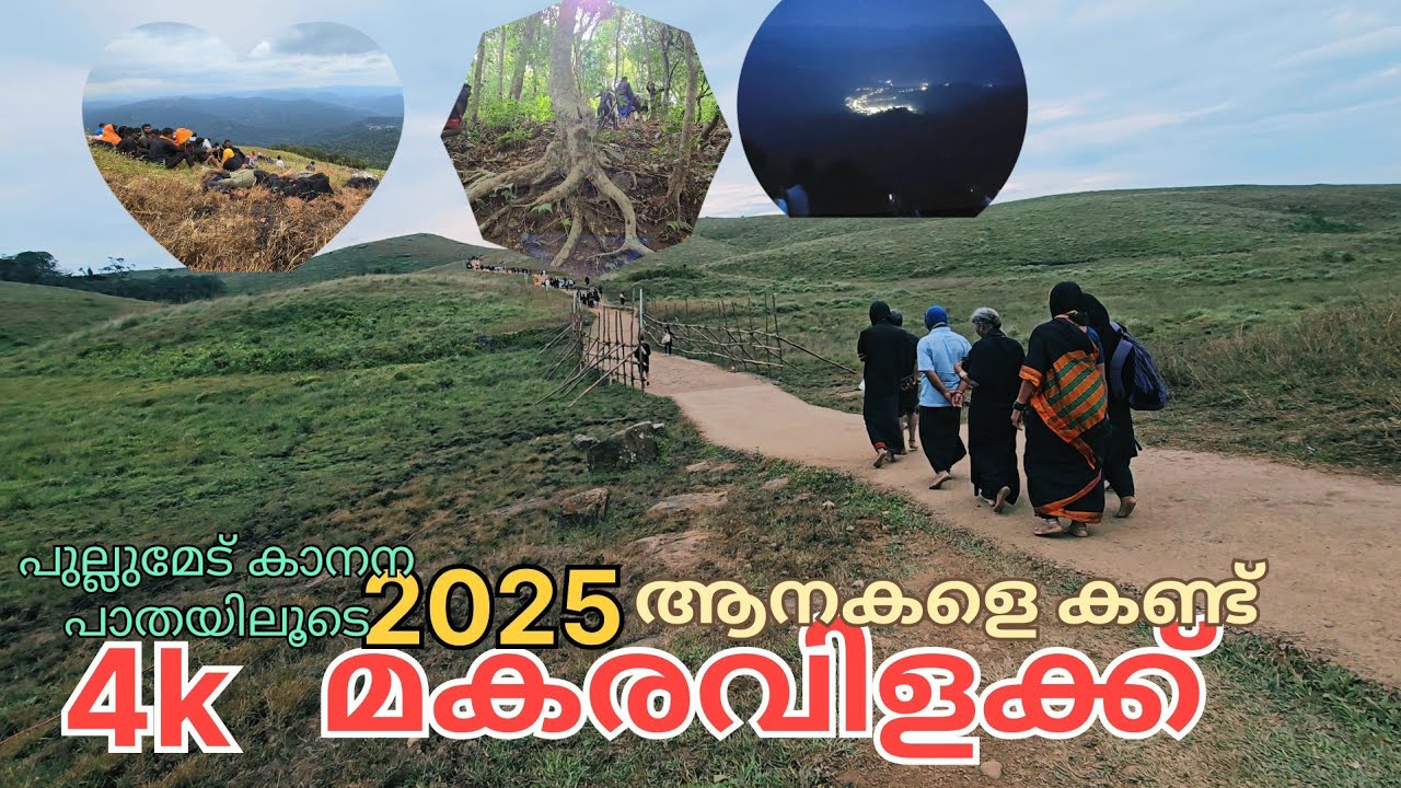 2025 makaravilakkinu pullumedu പോയപ്പോൾ #makaravilakku#travelvideo# ...
