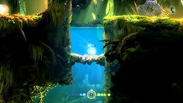 Ori and the Blind Forest - Water Drain Skip