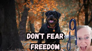 How to Lose Fear of Letting Your Dog Off Leash