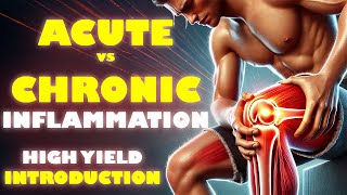 🔥 Acute vs. Chronic Inflammation EXPLAINED! 🦠💥 | What's the Difference & Why It Matters? 🚑⚡USMLE