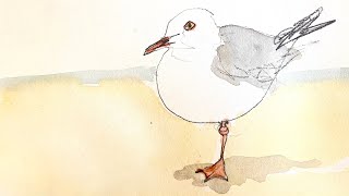 Why Do Some Birds Stand On One Leg?