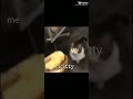 Me Giving my cat a cheeseburger