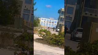 Flordia man in action! #floridaman #cops #florida #copchase #arested #springbreak2026 #keywest