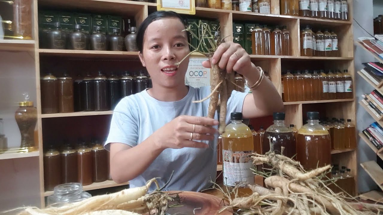 Cách chế biến sâm dây tươi